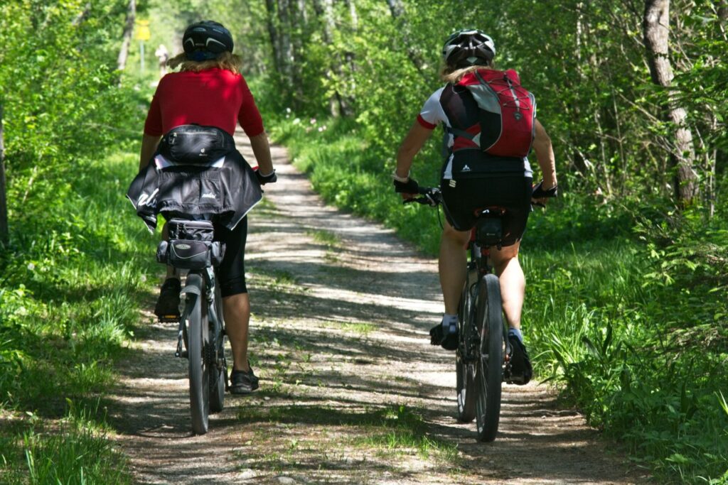 Two people cycling on the forest path